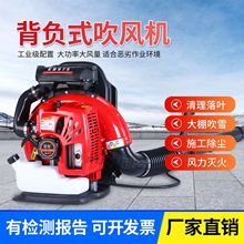 汽油吹风机吹雪机公路落叶除尘森防风力灭火器枣树木跨境热销