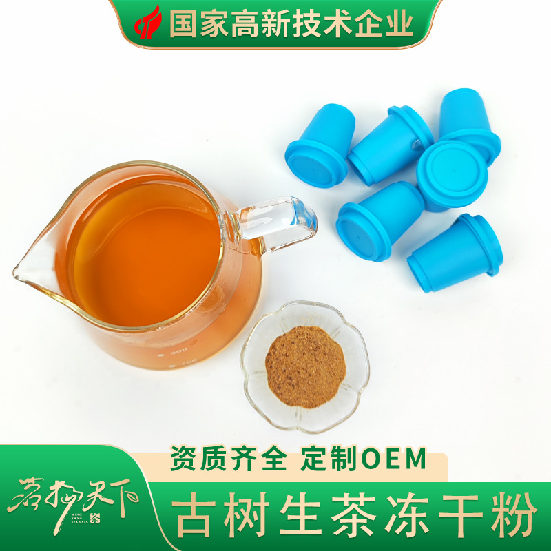 高还原普洱古树冻干茶粉云南勐海古树茶冷萃茶粉普洱茶叶花茶工厂