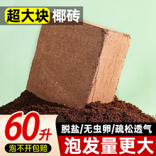 Ҭ�u�I�B���N��ͨ����Ó�}Ҭ����KҮ�u�����������B�������Nֲ��