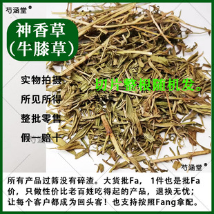 �����ţϥ�ݺ�����ζ���к����_��˹�ͺ���������ɿ���ȡ��¶