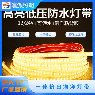 24v�͉���led������ճ12v�ƿ܇�����ˮ���Ĺ��zip68Ӿ�؟�