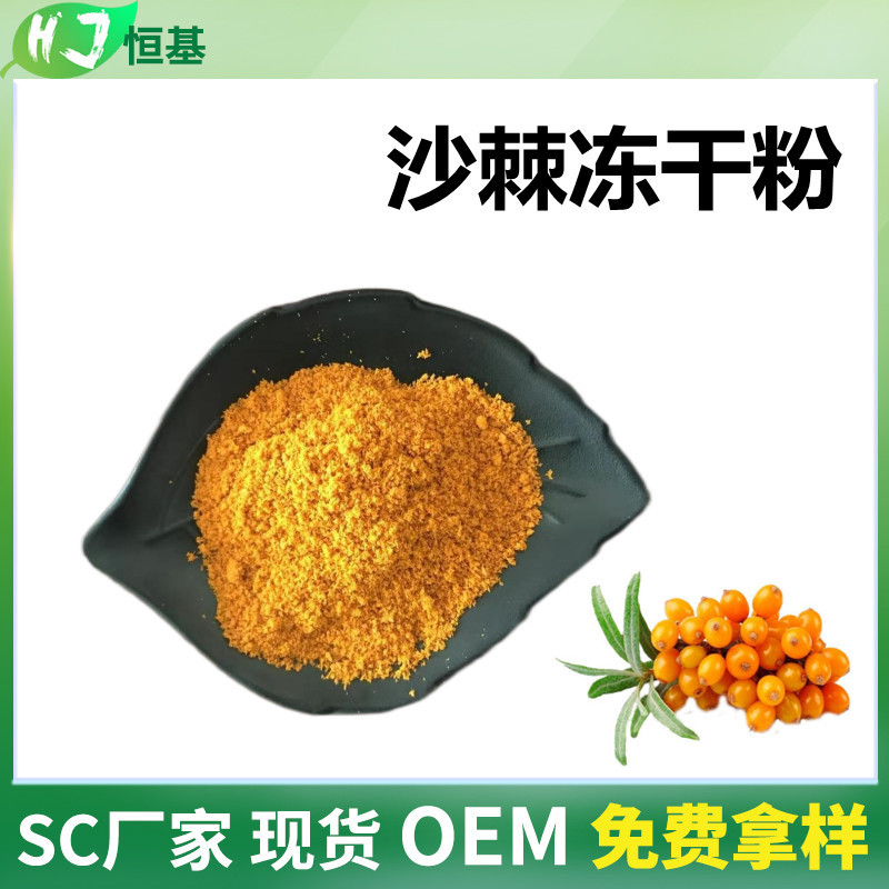 沙棘冻干粉 98% 沙棘果冻干萃取 1㎏装 现货 水果冻干粉 沙棘粉