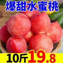 水蜜桃10斤桃子新鲜水果当季毛桃现摘水果应季脆甜桃子整箱非油桃