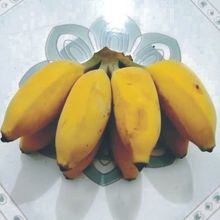 香蕉廣西特產西貢蕉粉蕉新鮮新鮮水果亞馬遜跨境批發代發一件批發