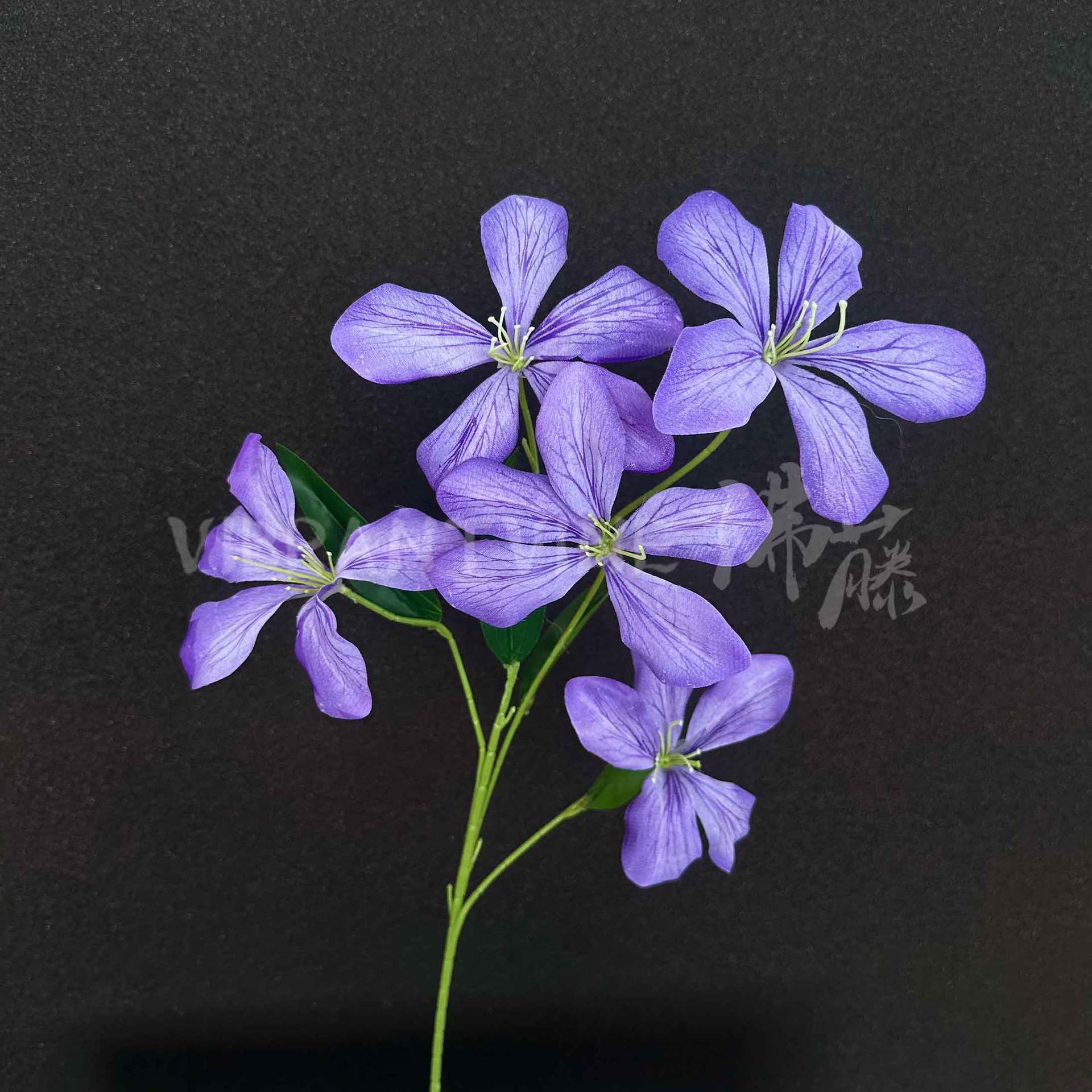 orquídea de llama púrpura