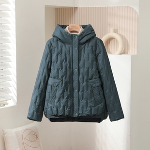 2025�����¿���q��Ů�����ꋌ���̿��p�������Bñ��ů�����q����