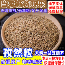 �����½���Ȼ����؛��Ȼ�����{����Ȼ�����ß���������Ȼ�������l