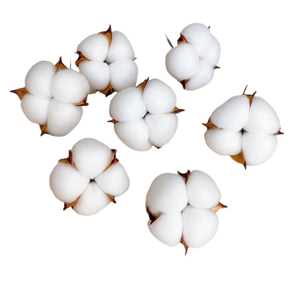 White cotton realistic decorations, flowered, wholesale, bouquet