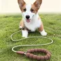 防爆训犬缠绕宠物狗链子