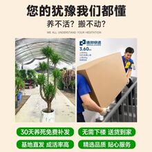 ��Ѫ��͏d���^��횘����F��͏d�҃ȴ�����Ѫ��ֲ������