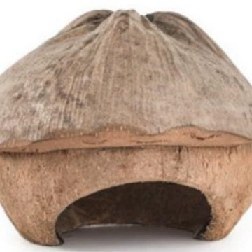 Розничная торговля Рептилия Кокосовая скорлупа Скрыть Дом Паук Скорпион Играть Домашнее животное Пещера Черепаха Спящая Скрыть Дом Вилла