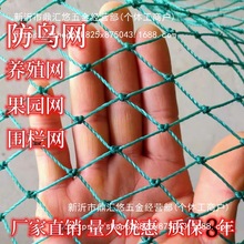 大鹏果园防鸟网全新料抗老化拉网养鸡围栏网鱼塘草莓尼龙网防护网