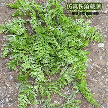 �����ٗl�Gֲ�~�b٘��~�G���������ϻ���ˮ�ܵ��ړ����{�G�~��