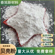 �S�ҹ���ؐ���۠���T����2000Ŀ�џ�ؐ���۸��}��ϼ�ؐ����