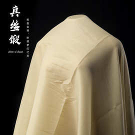 现货真丝缎闪光欧根纱超柔微弹力面料高档礼服舞台服装欧根纱布料