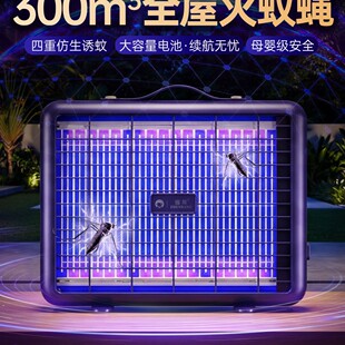 ���ß�������ß�2026�¿�����҃ȷ���׽����Ӌ냺�ЋD�T��