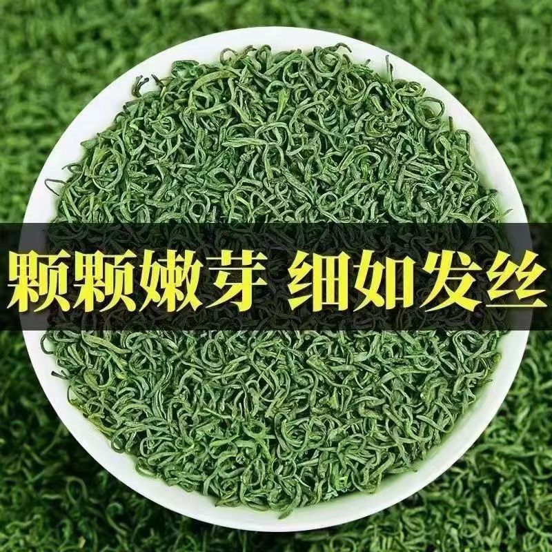 2025年新茶高山云雾绿茶贵州毛峰板栗香型夏茶秋茶批发定制雨前