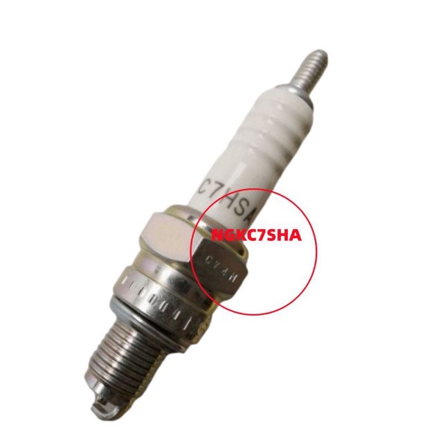 Motorcycle engine spark plug NGK/C7HSA for scooter, moped, women's scooter 4629