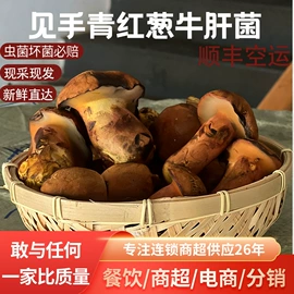 其他干货;蘑菇;牛肝菌