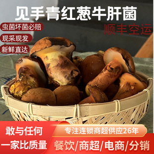 ������rҊ����t�[ţ�ξ��W�t����Ұ������Ģ���˹��Nֲʳ�þ�