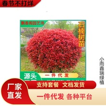 һlt~ʯͥԺͺeԼt_eСhʠG