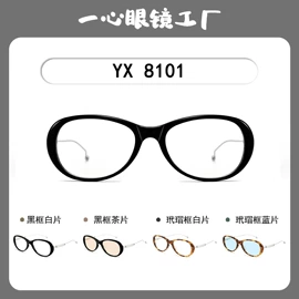 太阳镜;框架眼镜;眼镜片