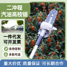 ���_�����͸�֦䏈@ˇ�G�������и�ͥԺ�޼����_�����͸�֦�