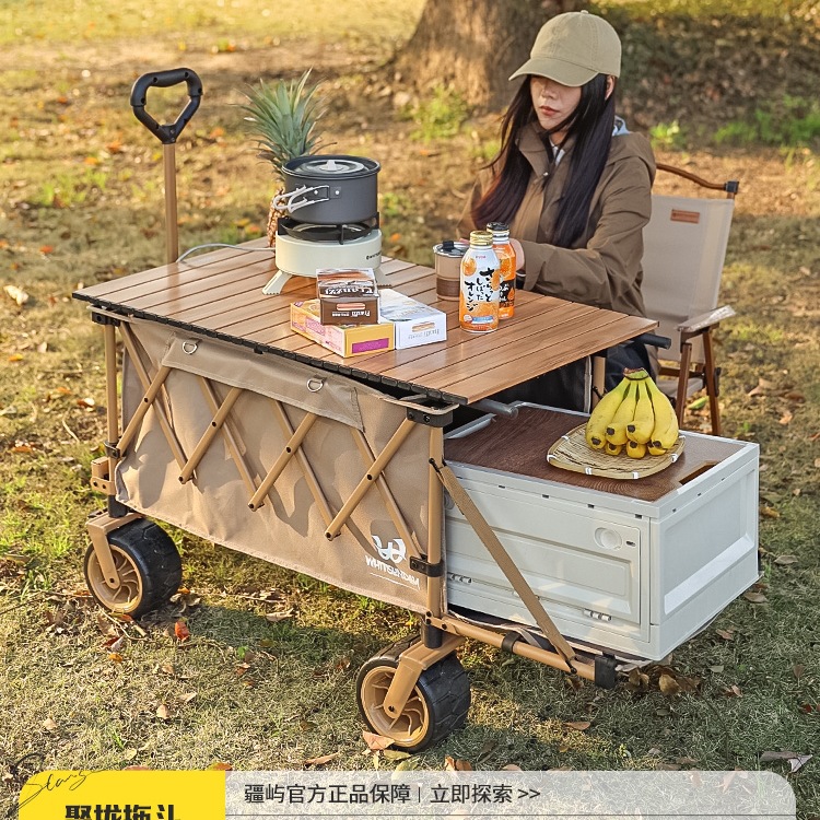 Camping Cart, Outdoor Folding Cart, Picnic Stall Trailer, Children's Reclining Camping Cart