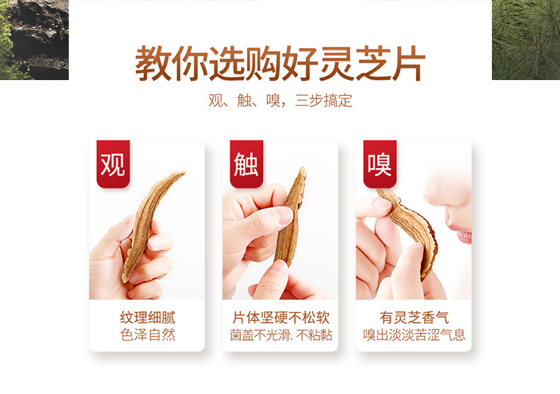 Dried Reishi Mushroom Slices Ling Zhi 200g Box Northeast China Ganoderma lucidum quality and texture