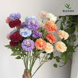 仿真花;仿真绿植;永生花