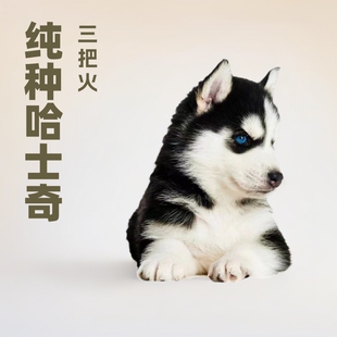 ���N��ʿ����w��Ȯ��ʿ�����ѻ���B����Ȯ��ʿ���{�۾���������