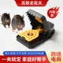 定制灵敏跨境家用老鼠夹