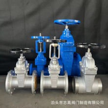 SֱNZ45X-16PPܛܷly DN100 304-CF8UPly