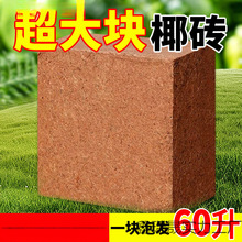 9���KҬ�u�I�B���B����Ҭ�Ӛ�����Ү�u�N������Ó�}Ҭ���u����