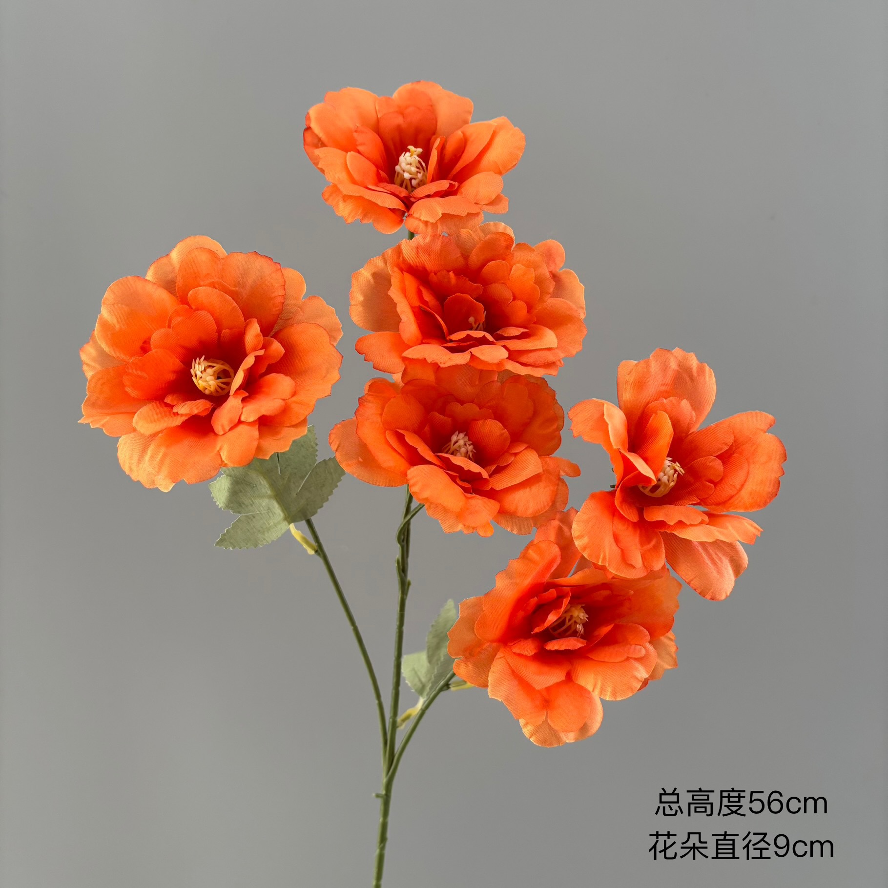 주황색