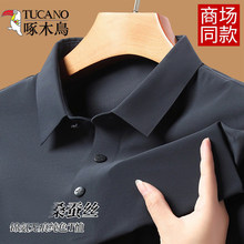 ��ľ�B2025�ļ��¿����T���Пo�۱��zPolo��ɣ�Q�z���I���ɰ���