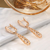 Capacious earrings, long zirconium, European style, simple and elegant design, suitable for import