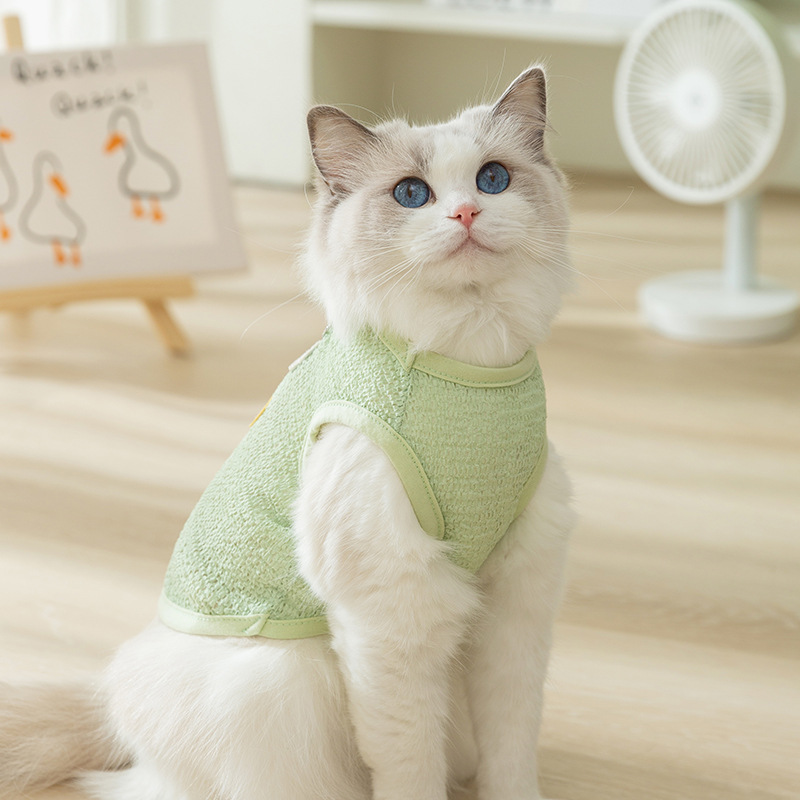 Gato primavera y verano lindo estilo coreano hueco y transpirable oso parche chaleco de tracción perro peluche mascota gato ropa