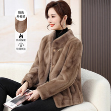 ƤŮbl2025ﶬ¿ŮͨƤˮë