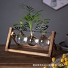 Wooden creative tubing, plant lamp, bottle, table decorations from natural wood