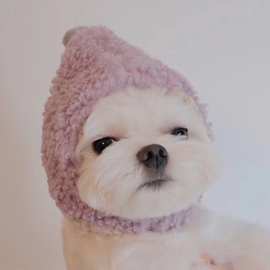 拍照帽子头套小型犬冬可爱卖萌头饰宠物狗造型小狗狗泰迪比熊猫咪