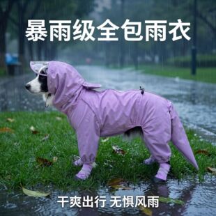 �д���Ȯ������ȫ����ˮ������������߅����ë������������_�h��