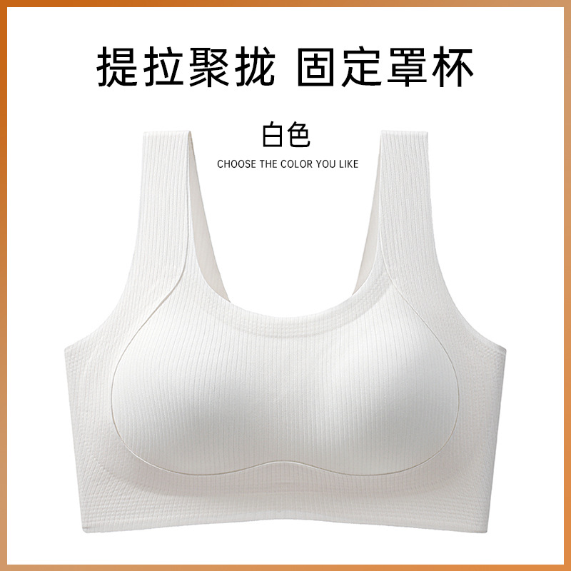 화이트