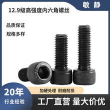 12.9���������ݽz�����˨M2M3M4M5M6M8M10M12-M24ȫ�ݼyDIN912