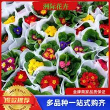 �󴺻� �����ݻ��󴺻�  �������ͺ�������ľ���ݕr��ݻ�