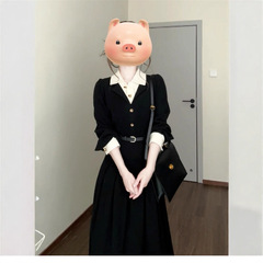 法式高级感黑色polo领衬衫连衣裙子女2025新款秋季穿搭假两件长裙