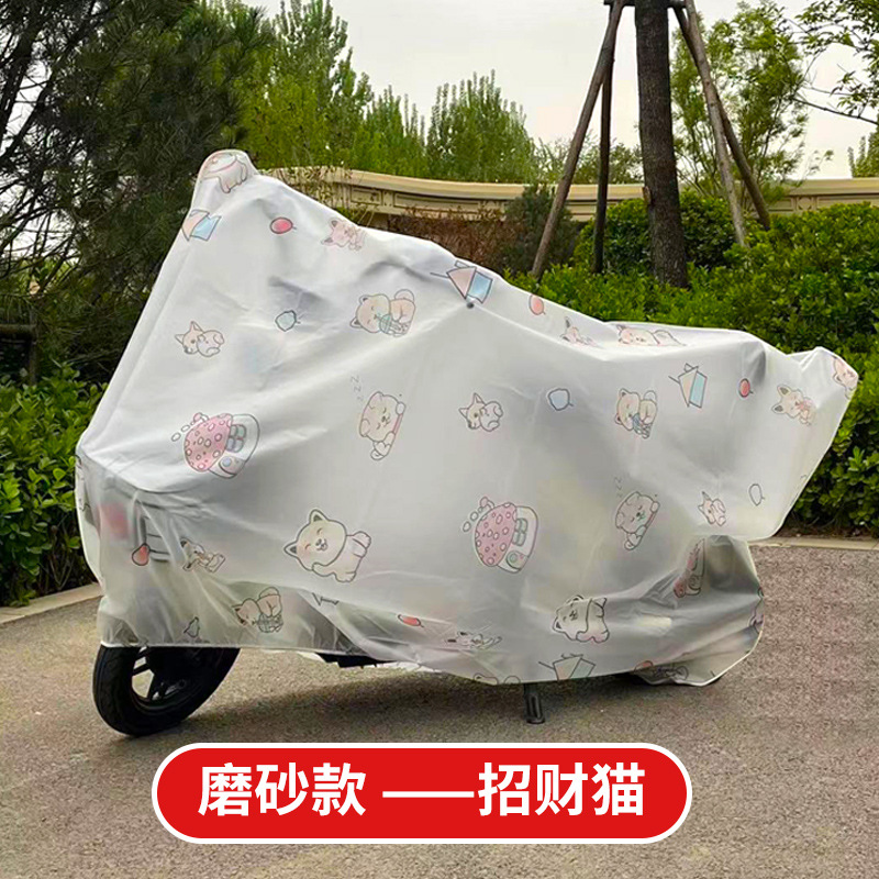 서리로 덥은 행운의 고양이