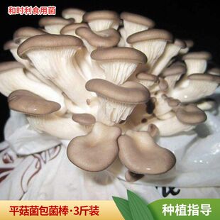 �ļ�3���b��ƽ�������Nֲ���������ƽ�������׳ɻ�����������