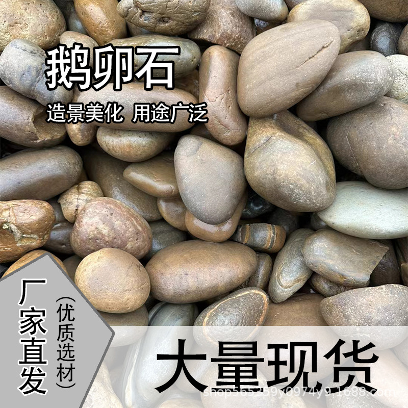 5-8块鹅卵石变电站专用杂色河卵石滤料垫层景观石头工程用鹅卵石