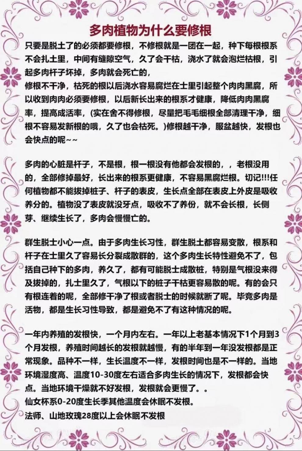 fc67117c-0d9c-43e5-8450-92dd97f28a1f.jpe